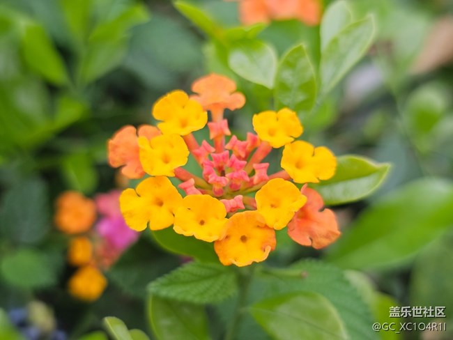 【旅途瞬間志】角落