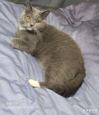 【光影一刻】戲精上線