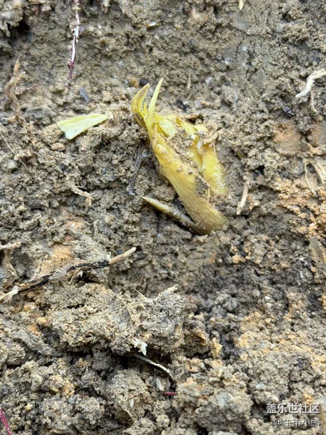 【旅途瞬間志】體驗(yàn)大自然