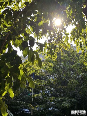 【光影一刻】春天暖陽