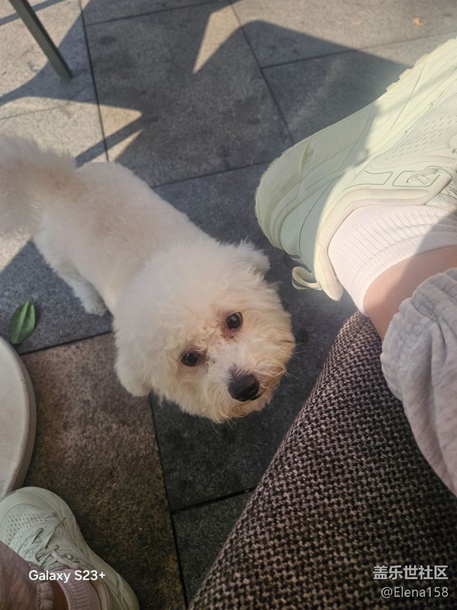 【春光拾趣】各種驚嘆的瞬間