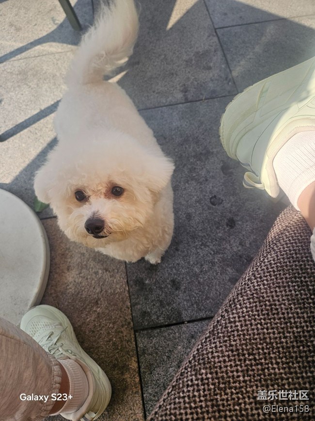 【春光拾趣】各種驚嘆的瞬間