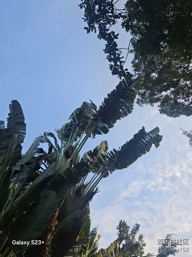 【春光拾趣】各種驚嘆的瞬間