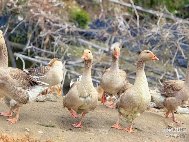 【旅途瞬間志】體驗(yàn)大自然