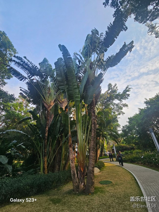 【春光拾趣】各種驚嘆的瞬間