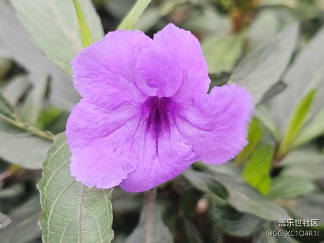 【旅途瞬間志】角落