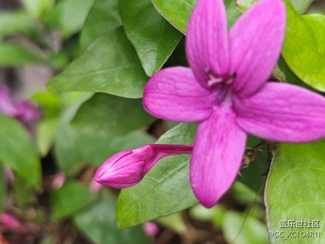 【旅途瞬間志】角落