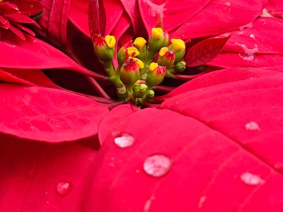 【光影一刻】陰天