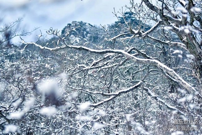 問鼎浙西天目山之藥王山（二）