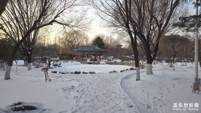 【光影一刻】元宵佳節(jié)