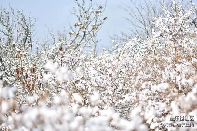 問鼎浙西天目山之藥王山（二）
