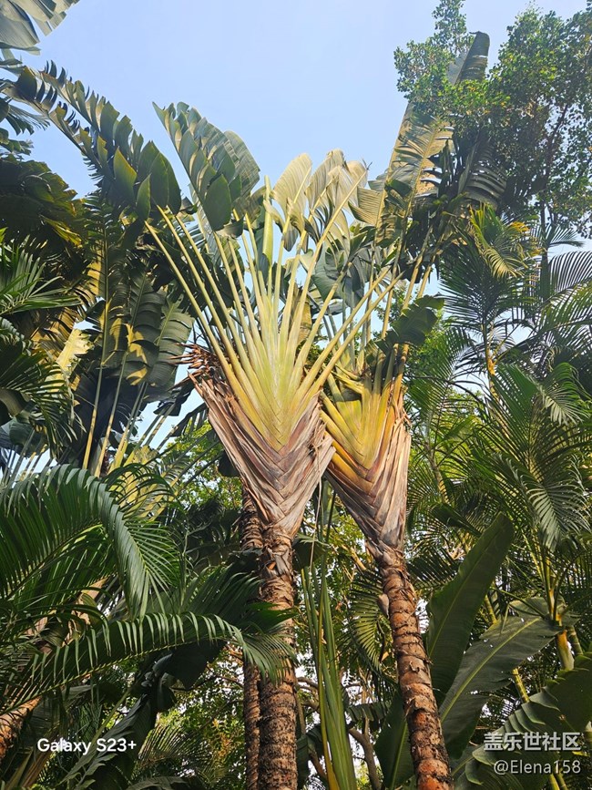 【春光拾趣】各種驚嘆的瞬間