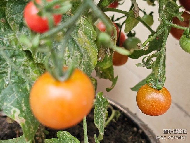 【旅途瞬間志】角落