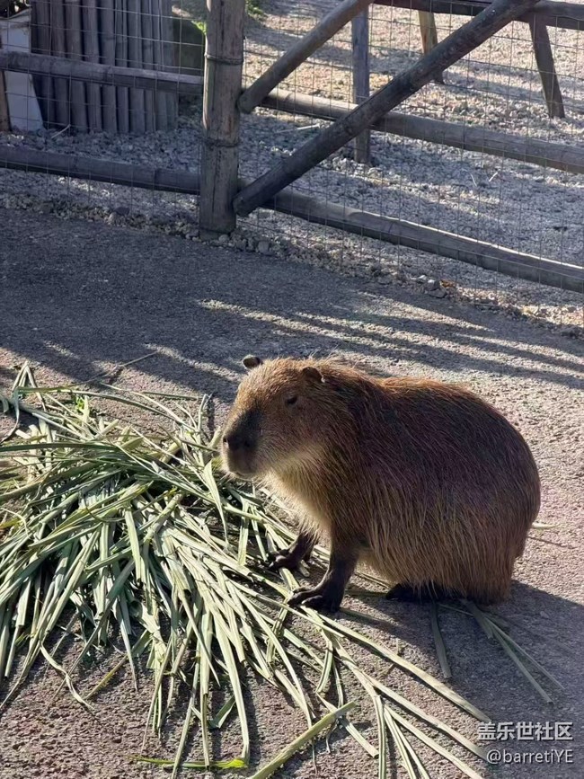 【旅途瞬間志】海邊日記