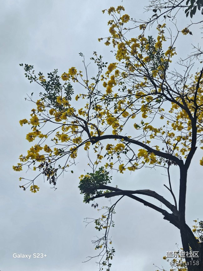 【迎春，在冬末】春天的第一場雨