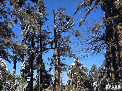 【光影一刻】美麗的雪景