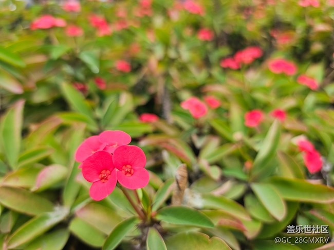 【旅途瞬間志】在路上
