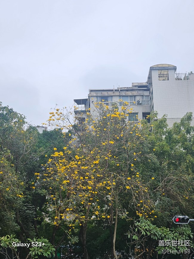 【迎春，在冬末】春天的第一場雨