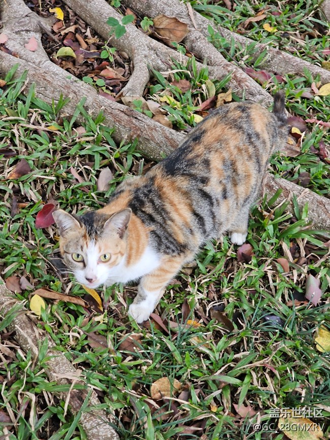 【旅途瞬間志】在路上