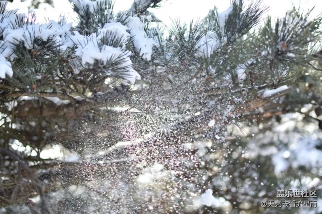問鼎浙西天目山之藥王山（三）