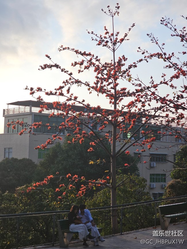 【旅途瞬間志】太陽(yáng)要落山