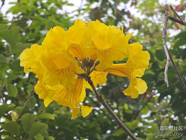 【旅途瞬間志】在路上