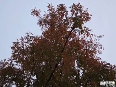 【光影一刻】光影流轉(zhuǎn)