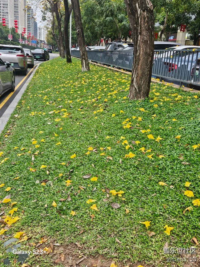【迎春，在冬末】春天的第一場雨