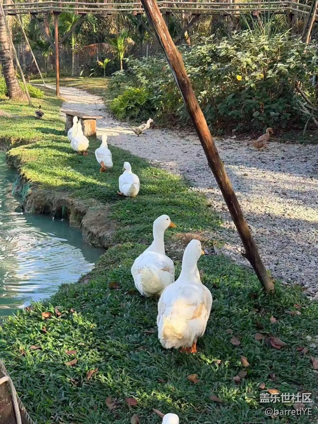 【旅途瞬間志】海邊日記