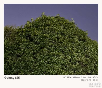 【光影一刻】滿目鮮活