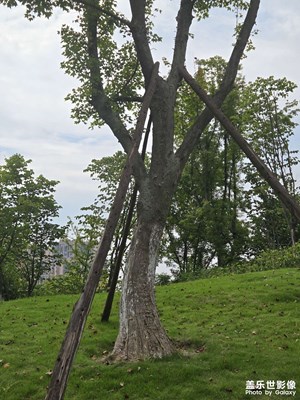 【光影一刻】陽光的下午