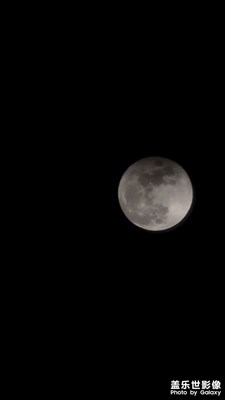 正月十五雪打燈