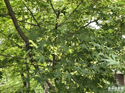 【光影一刻】尋常的街道