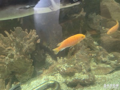 【光影一刻】水族館光影