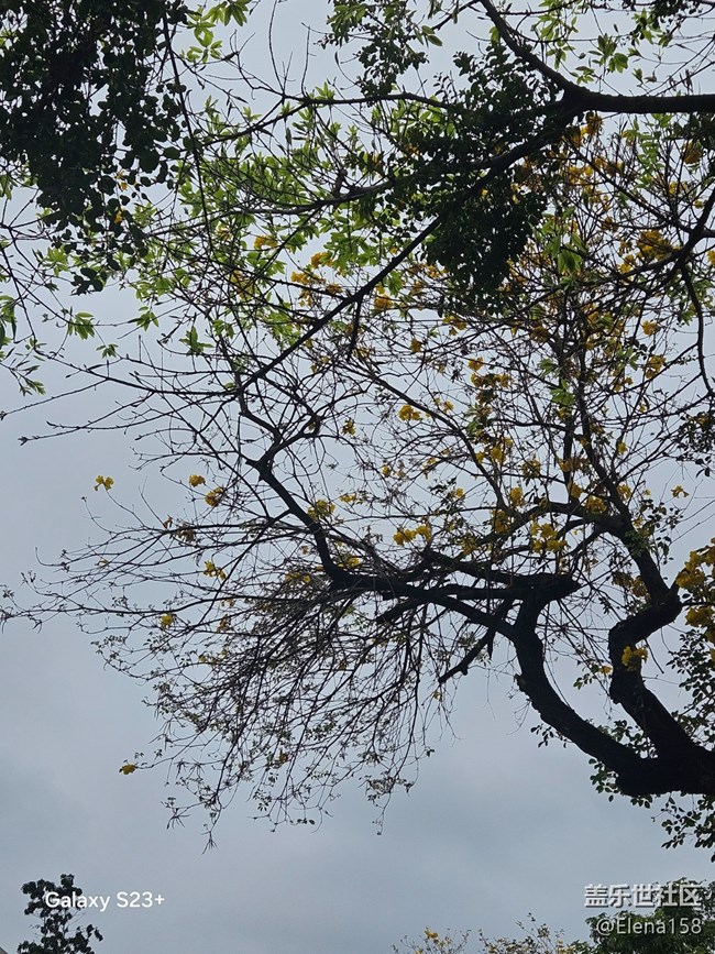 【迎春，在冬末】春天的第一場雨