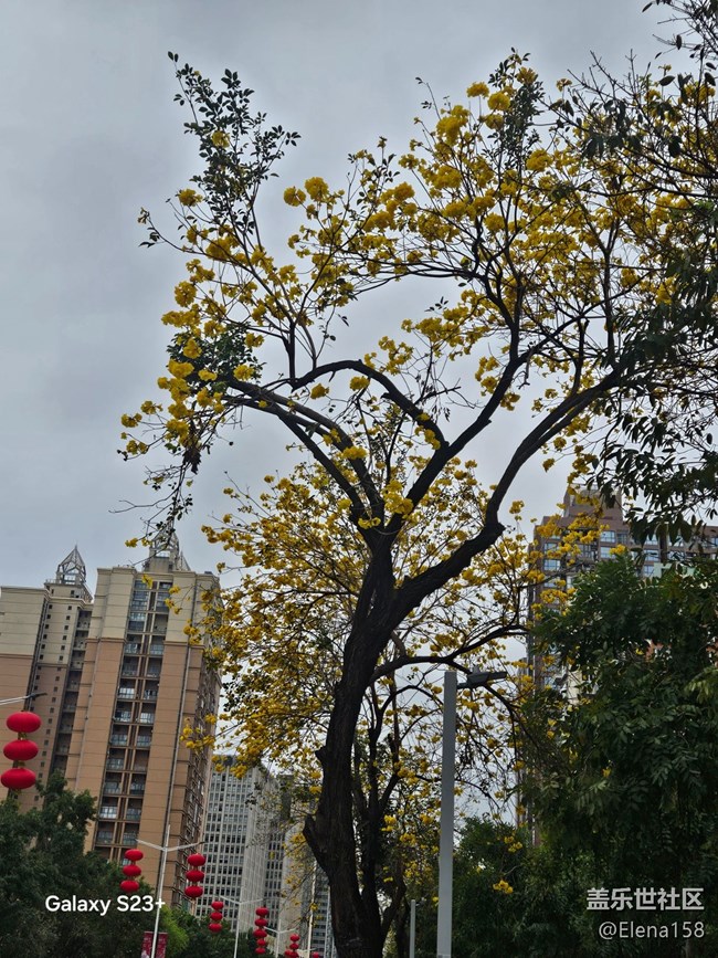 【迎春，在冬末】春天的第一場雨