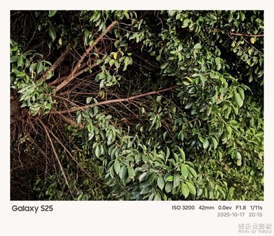 【光影一刻】細(xì)碎的光