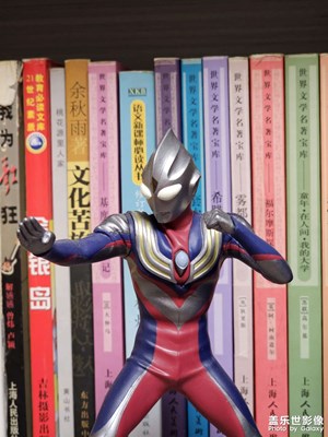 【光影一刻】光是紐帶