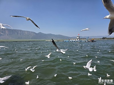 【光影一刻】+春城麗影