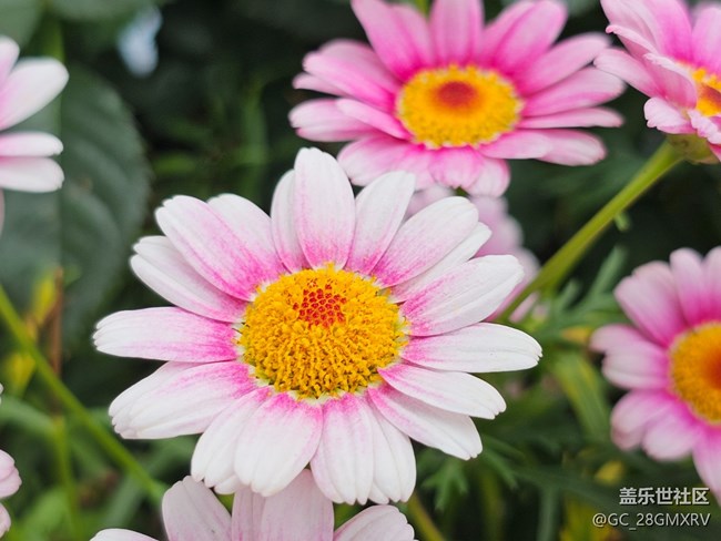 【旅途瞬間志】在路上