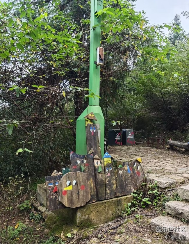 【徒步所見】上山