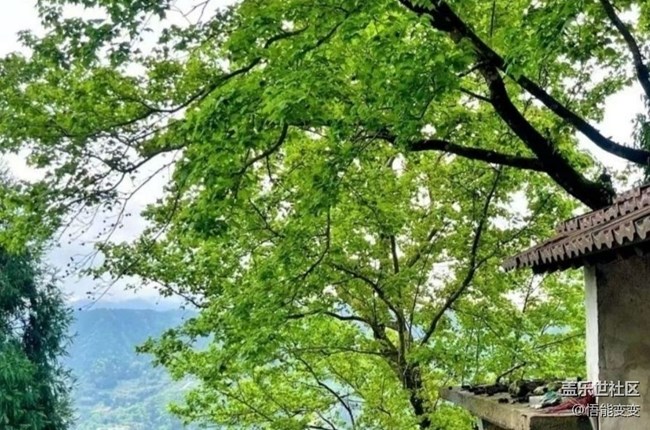 【徒步所見】一抹綠