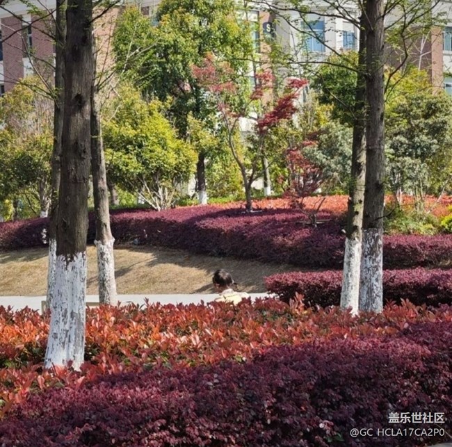 【徒步所見(jiàn)】踏青