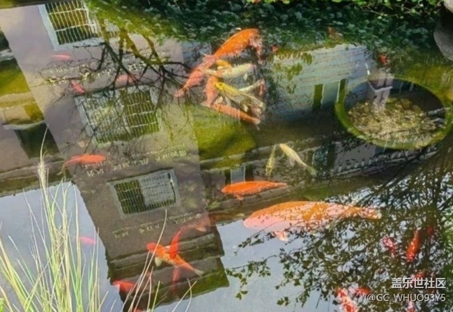 【徒步所見】初春景色