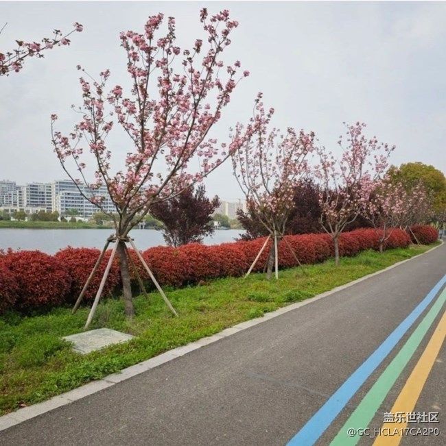 【徒步所見(jiàn)】踏青