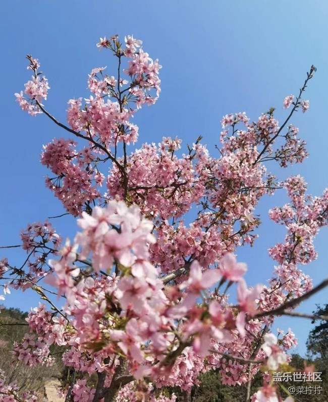 【徒步所見】桃花島