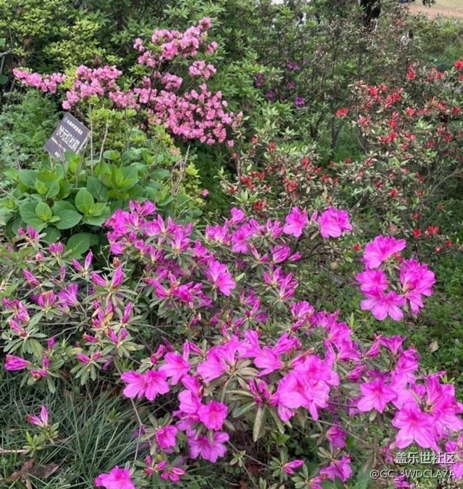 【徒步所見(jiàn)】春游園