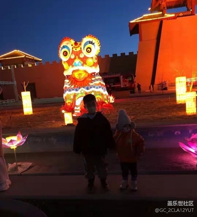 【徒步所見】賞花燈