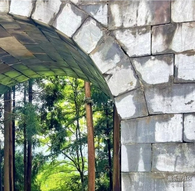 【徒步所見】一抹綠