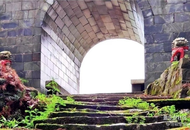 【徒步所見】一抹綠